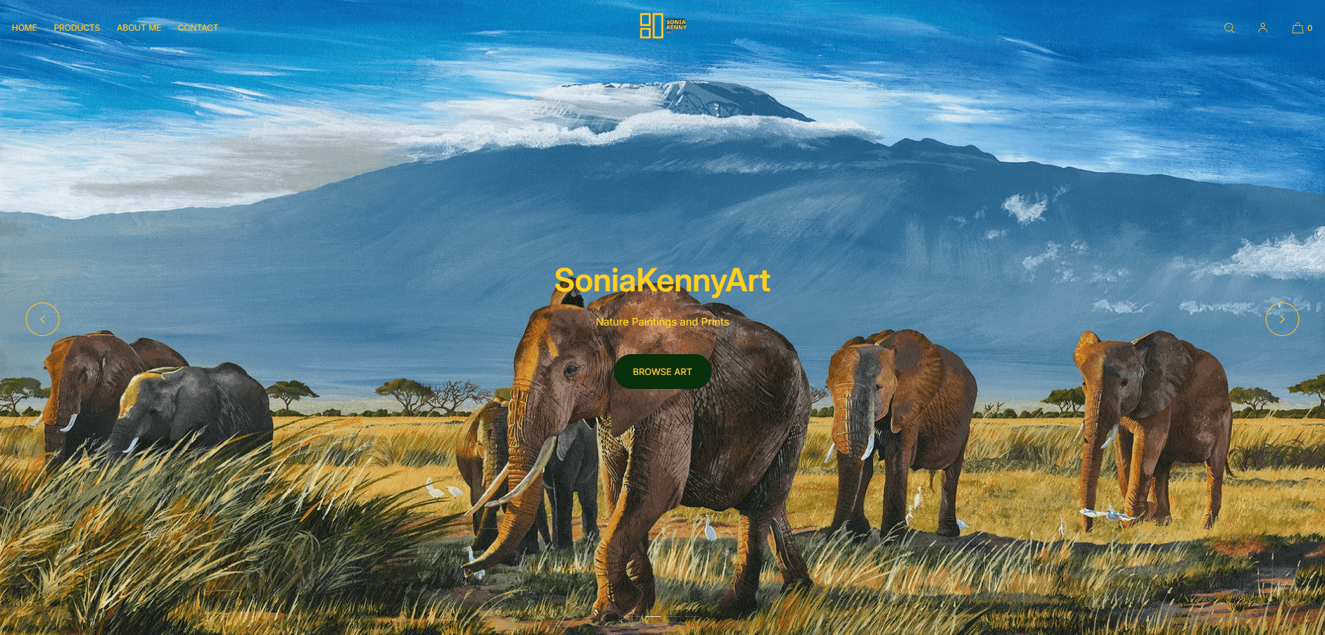 SoniaKennyArt case study preview